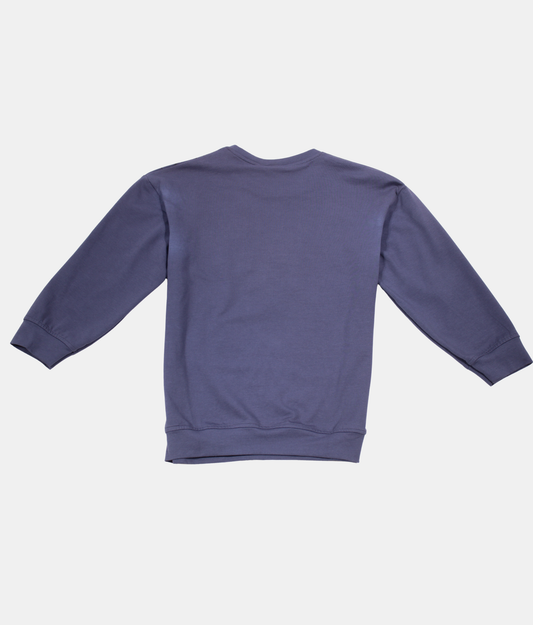 Danaboi Navy Blue Boys Sweatshirt
