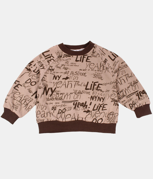 DAPP Brown Boys Sweatshirt and Pant Set