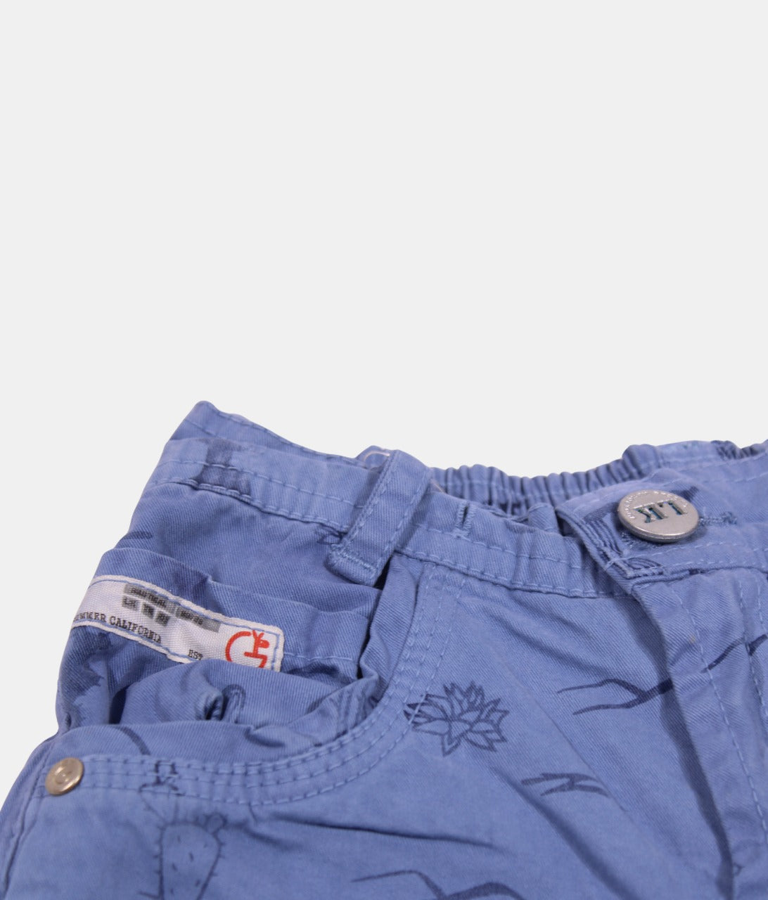 Little kangaroo Blue Cactus Print Boys Shorts