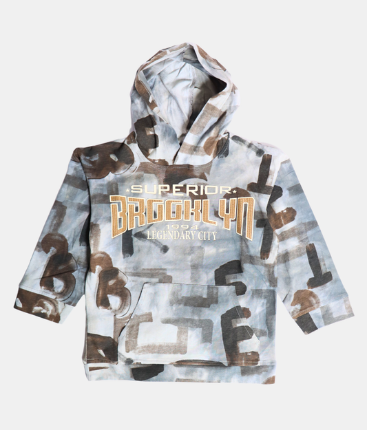 Danaboi Grey & Brown Printed Boys Hoodie with Full Sleeves